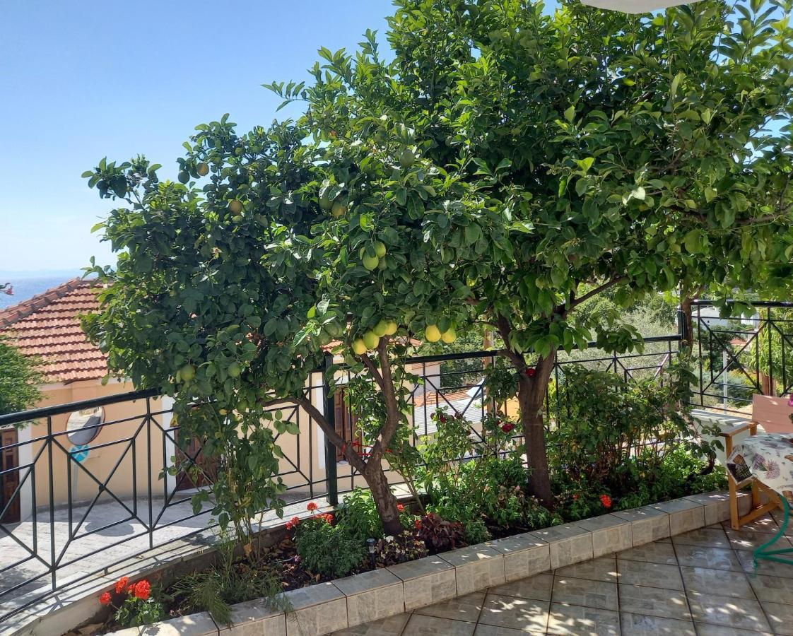 Πηλιο- Το Εξοχικο Τησ Αννασ- Αφησσοσ Villa Afissos Eksteriør billede